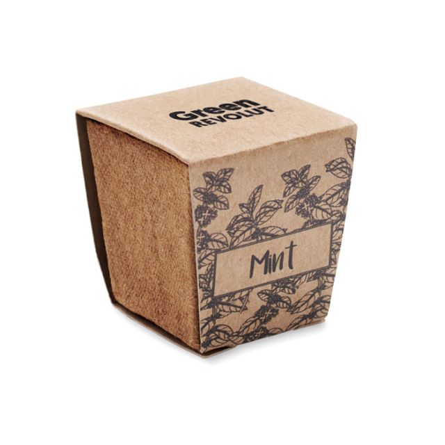 Mint seeds growing kit