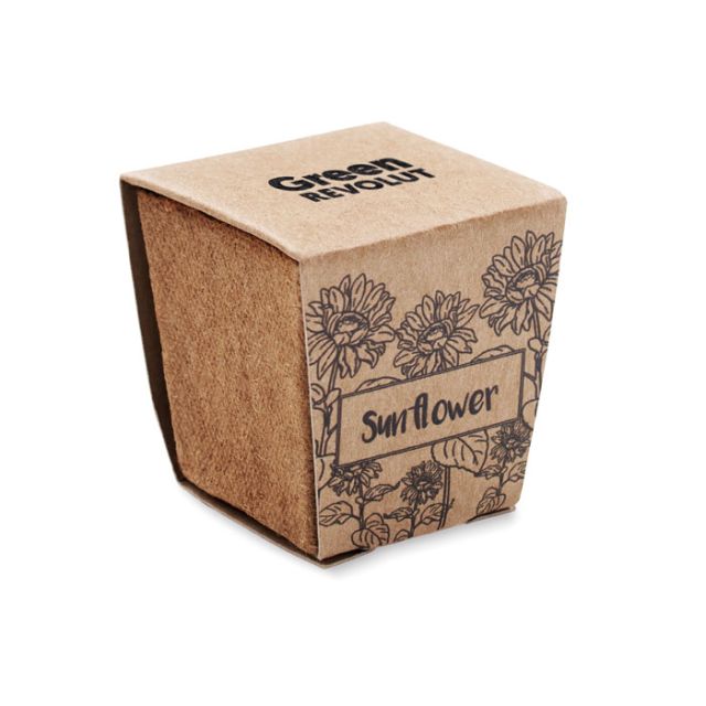 Sunflower growing kit