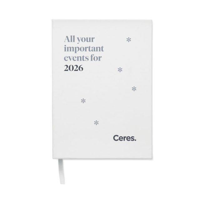 A5 perpetual daily planner