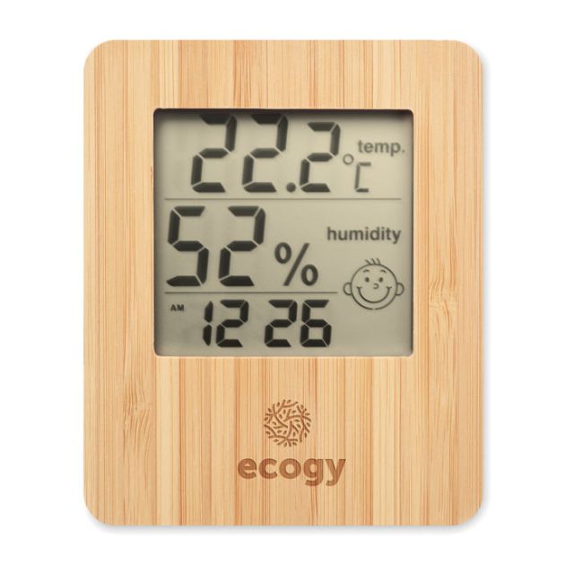 Bamboo weather station